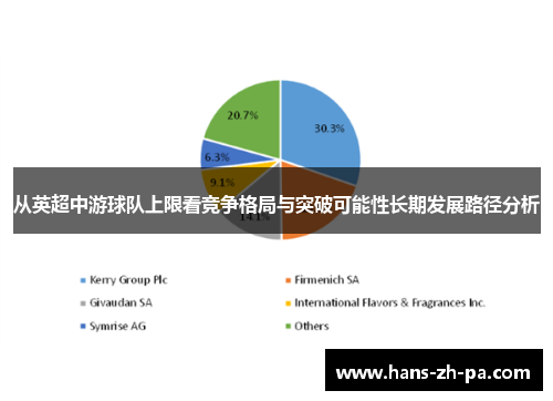从英超中游球队上限看竞争格局与突破可能性长期发展路径分析