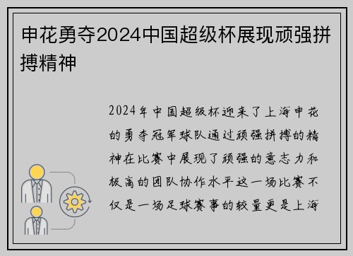 申花勇夺2024中国超级杯展现顽强拼搏精神