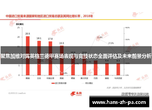聚焦加维对阵英格兰德甲赛场表现与竞技状态全面评估及未来前景分析